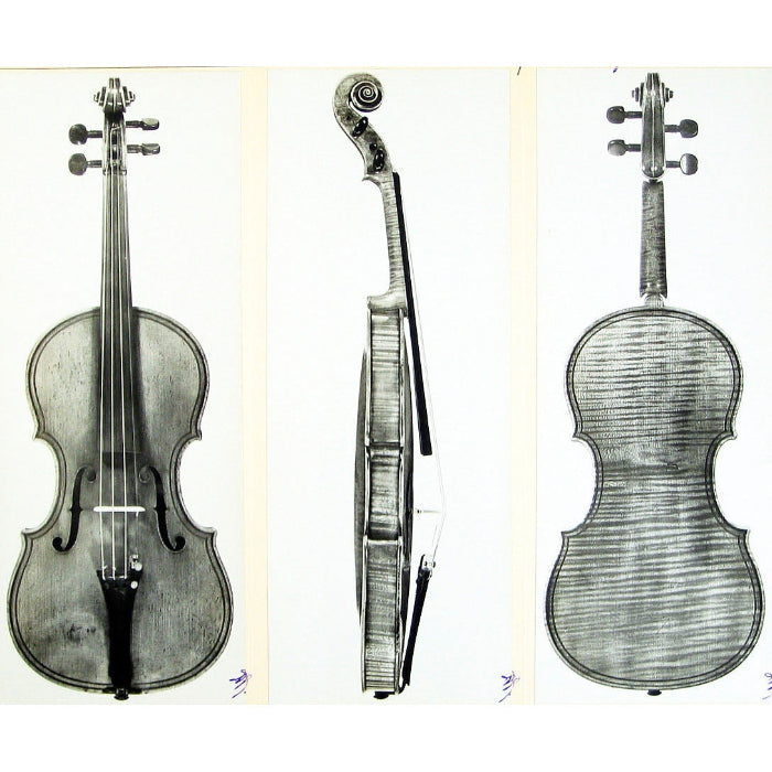 Setinkane Stringed Instrument P.K. GALLERY